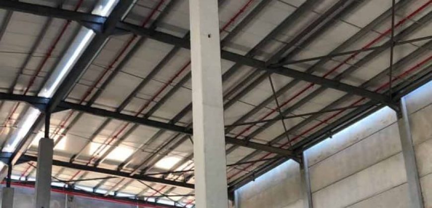 בדרום הארץ, 3.5 דונם, נכס לוגיסטי