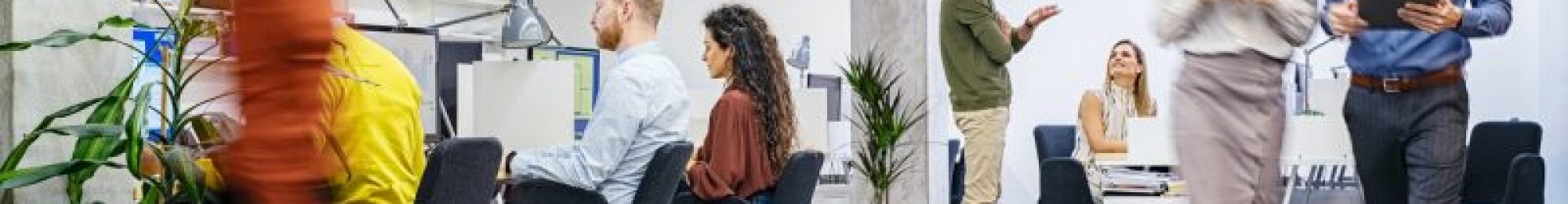 משרדי עסקים משרדי עסקים
